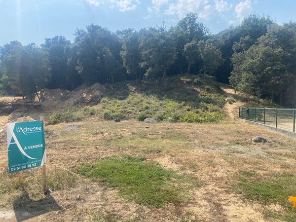 Terrain Longeville Sur Mer 1253 m2