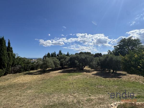 LORGUES proche centre villa rénovée sur 4651 m² et piscine
