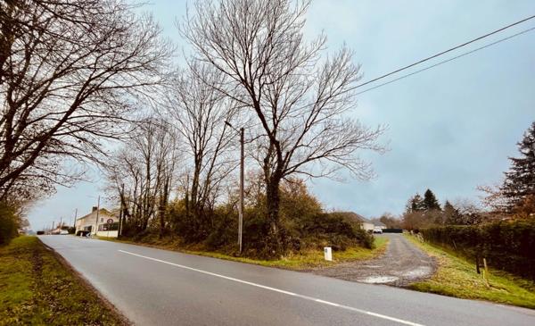 Terrain à vendre COURS LES BARRES (18)