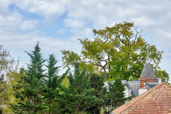 Maison Le Vésinet - SUD