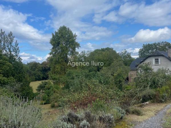 Maison - Oloron-sainte-marie - Réf.:205322 PROXIMITE OLORON - BEL ENSEMBLE COMPOSE D'UNE MAISON D'HABITATION + GRANGE RENOVEE + GRANGE ATTENANTE AVEC TERRAIN - (BAISSE DE PRIX)