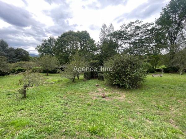 Maison - Oloron-sainte-marie - Réf.:205322 PROXIMITE OLORON - BEL ENSEMBLE COMPOSE D'UNE MAISON D'HABITATION + GRANGE RENOVEE + GRANGE ATTENANTE AVEC TERRAIN - (BAISSE DE PRIX)