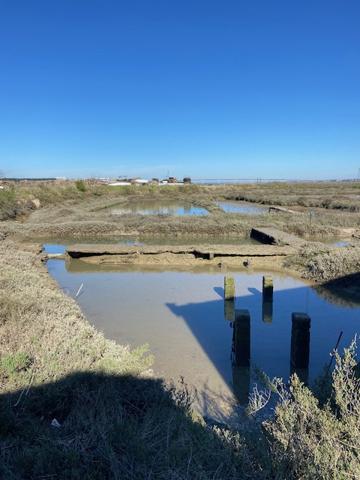La Tremblade (17390) Cabane ostréicole 60 m² la Tremblade