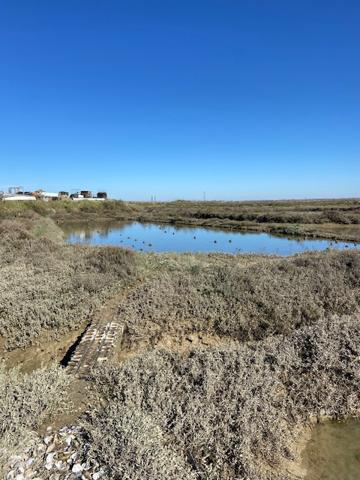 La Tremblade (17390) Cabane ostréicole 60 m² la Tremblade
