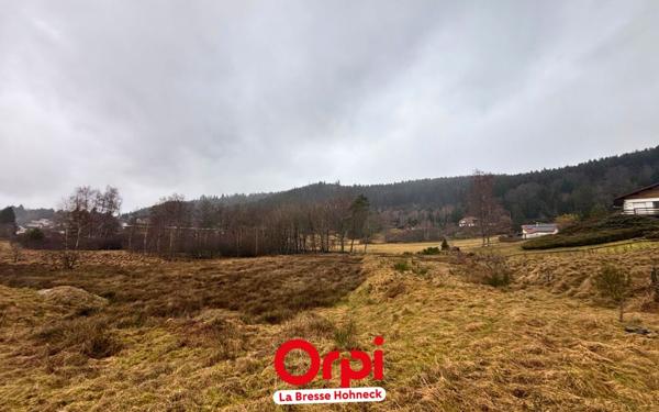 Terrain à vendre    Le Tholy