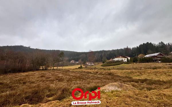 Terrain à vendre    Le Tholy