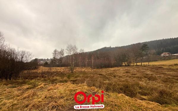 Terrain à vendre    Le Tholy