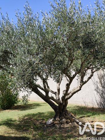 Maison à vendre 6 pièces 130 m² Aujargues