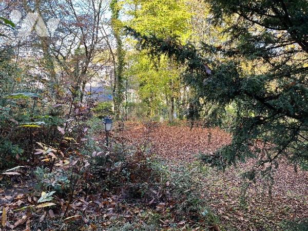 DINAN - Maison en pierres de 2 chambres