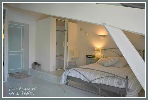 Département Gers (32) A vendre Condom propriété P7 210 m²- Terrain 5 483 m²