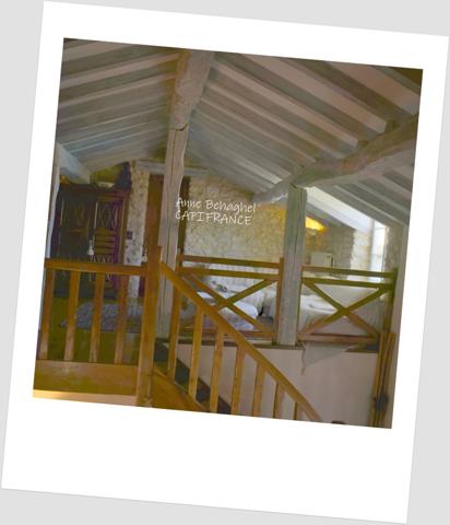 Département Gers (32) A vendre Condom propriété P7 210 m²- Terrain 5 483 m²