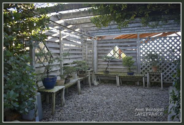 Département Gers (32) A vendre Condom propriété P7 210 m²- Terrain 5 483 m²