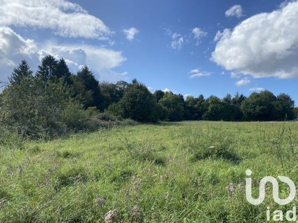 Terrain à vendre 2 195 m² Pleine-Fougères