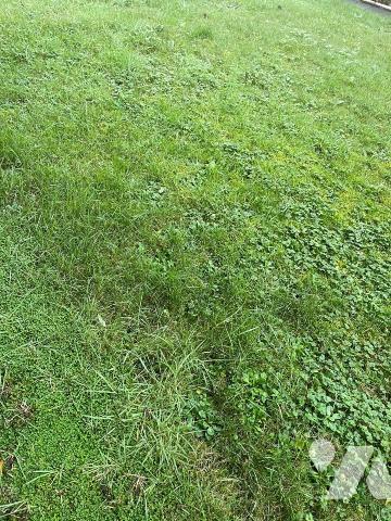 SAINT MALO TERRAIN A BATIR DE 423m²