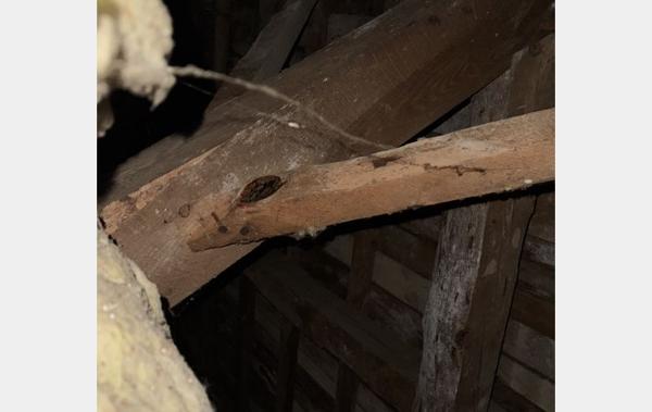 Vente Maison de ville En centre-ville Saint-remy-sur-durolle   