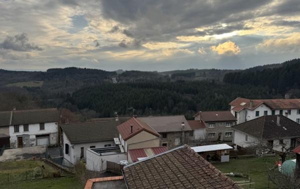 Vente Maison de ville En centre-ville Saint-remy-sur-durolle   