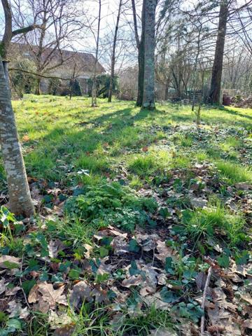 Terrain à vendre    Port-d'Envaux