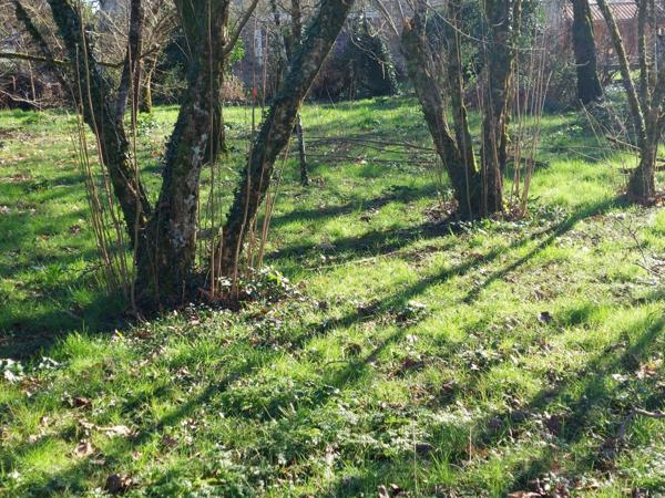 Terrain à vendre    Port-d'Envaux