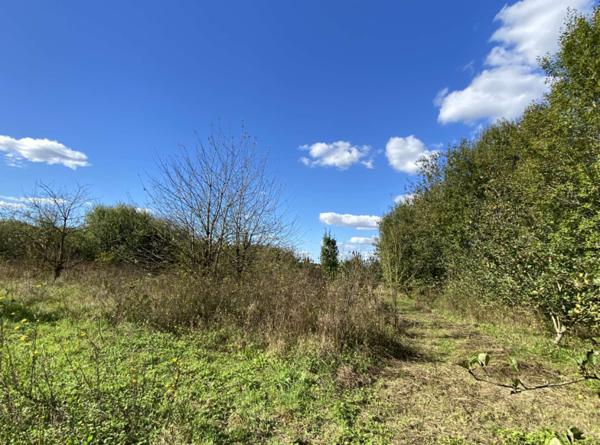 Terrain de 8411m² sur la commune de Merville