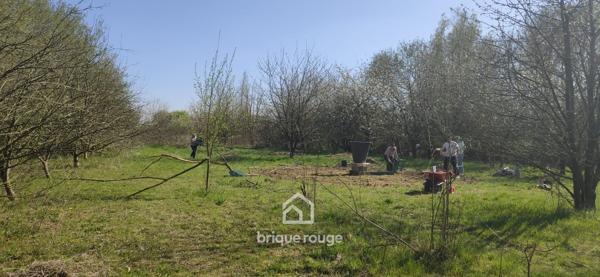 Terrain de 8411m² sur la commune de Merville