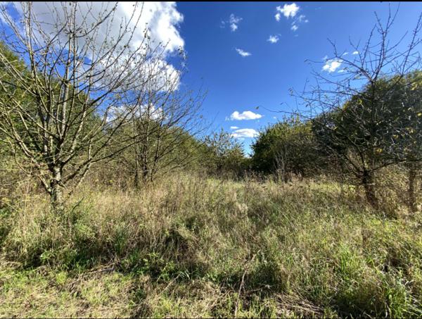 Terrain de 8411m² sur la commune de Merville
