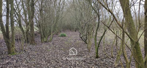 Terrain de 8411m² sur la commune de Merville