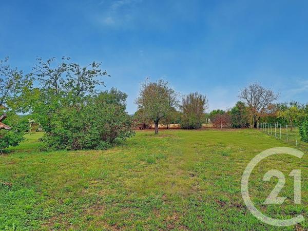 Terrain à vendre  1241 m2 LAVAUR - 81