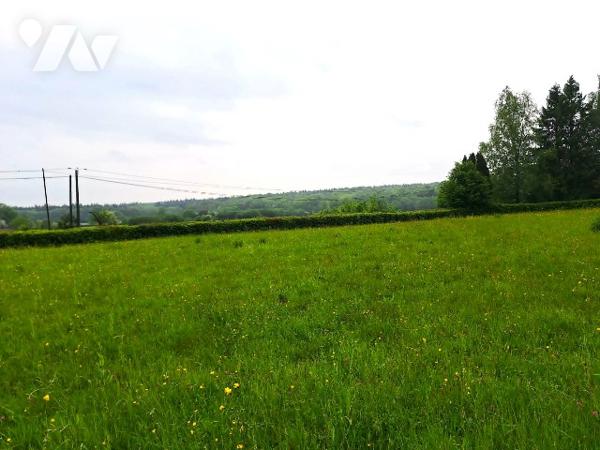 LA NEUVILLE AUX JOUTES