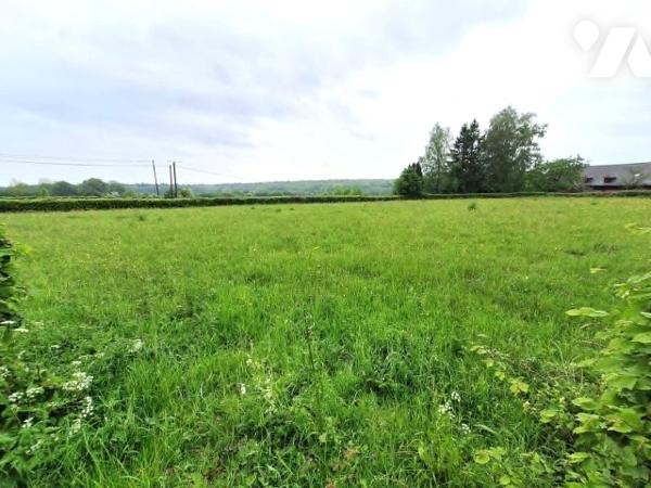 LA NEUVILLE AUX JOUTES