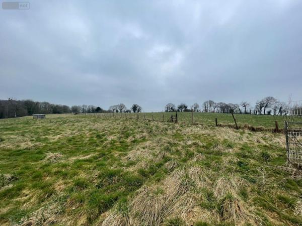 Maison à vendre à Lassay-les-Châteaux en Mayenne (53110), ref : 526