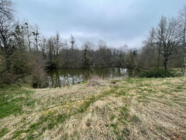 Maison à vendre à Lassay-les-Châteaux en Mayenne (53110), ref : 526