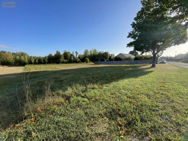 Achat - Terrain à bâtir Courtisols 51460 1009 m 2
