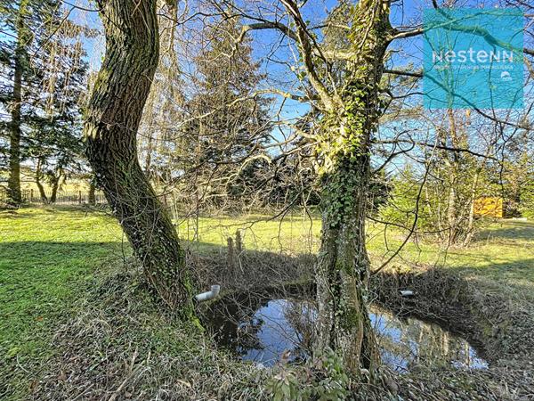 Maison d'environ 200 m² à vendre à Saint-Sixte - grand terrain de 1,5 hectare