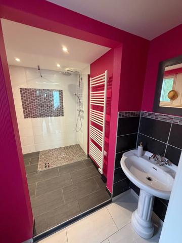 Maison à vendre 10 pièces LUNEVILLE (54)