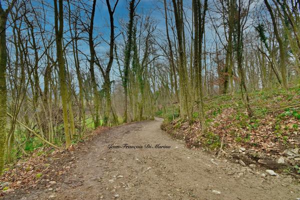 Terrain à vendre PERRIGNIER (74)