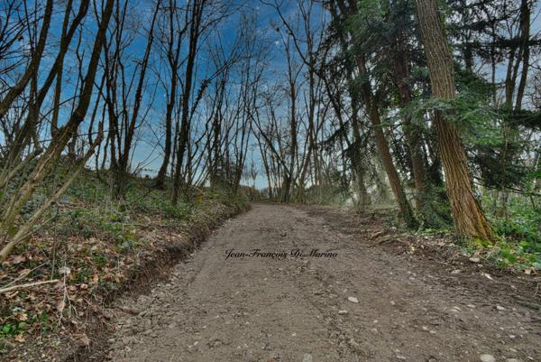 Terrain à vendre PERRIGNIER (74)
