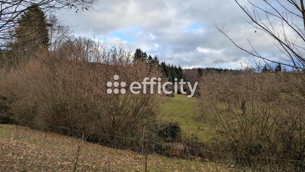 Maison 6 pièces - 92 m² Exclusivité efficity