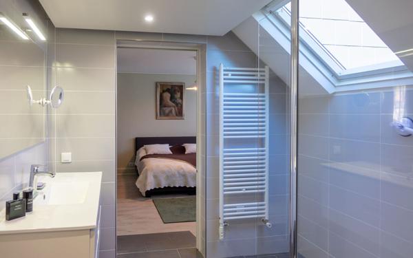 Maison à vendre    8 pièces • 369,55 m2 Olivet