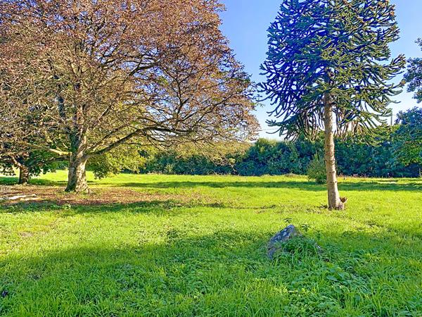 TIERCE ? Maison de campagne à rénover avec emplacement et beau potentiel