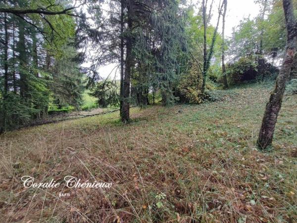 Grande maison à rénover