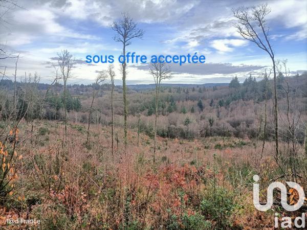 Terrain à vendre 27 437 m² Saint-Sylvestre