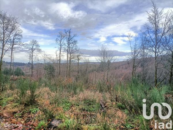 Terrain à vendre 27 437 m² Saint-Sylvestre