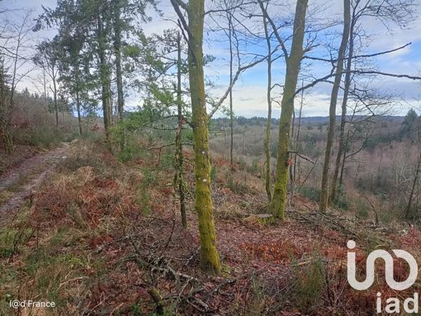 Terrain à vendre 27 437 m² Saint-Sylvestre