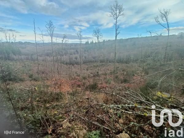 Terrain à vendre 27 437 m² Saint-Sylvestre