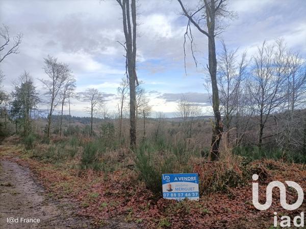 Terrain à vendre 27 437 m² Saint-Sylvestre