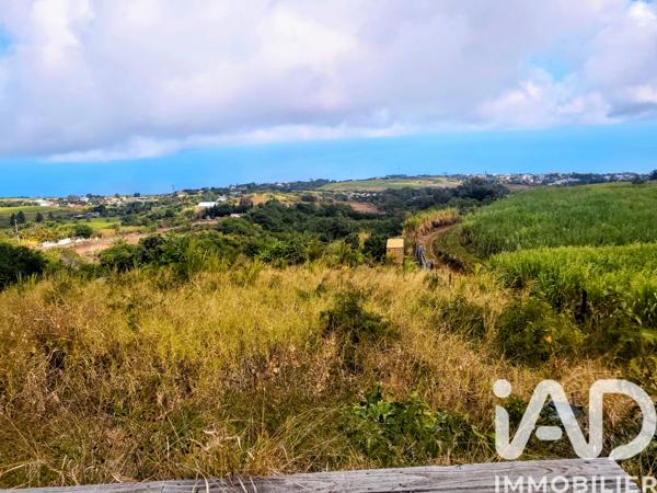 Terrain à vendre 11 990 m² Saint-Paul