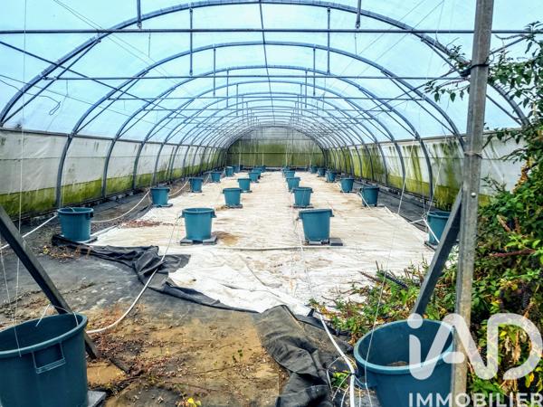 Terrain à vendre 11 990 m² Saint-Paul