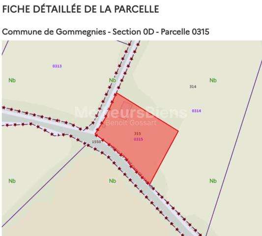 Petite Maison à Rénover Totalement face à la Forêt de Mormal