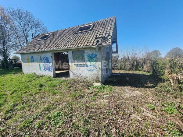 Petite Maison à Rénover Totalement face à la Forêt de Mormal