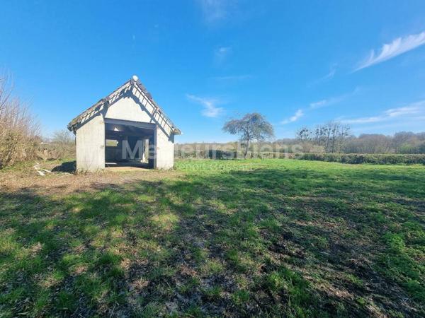 Petite Maison à Rénover Totalement face à la Forêt de Mormal